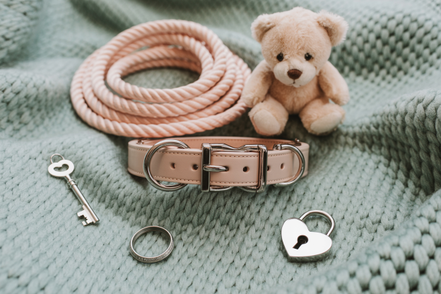 Pink rope, a soft teddy bear, a blush leather collar, heart-shaped padlock and key, and a metal ring arranged on a textured mint green blanket. This playful yet symbolic setup reflects elements of caregiver/little dynamics and ownership often explored in kink terms.